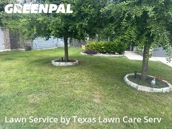 Yard Cutting nearby San Antonio, TX, 