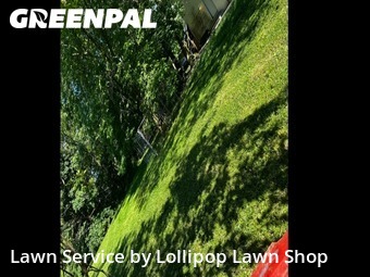 Grass Cutting nearby Lima, OH, 