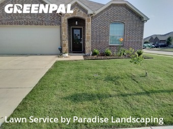 Yard Mowing nearby Princeton, TX, 
