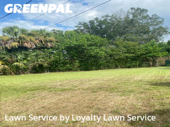 Yard Cutting nearby Fort Pierce, FL, 