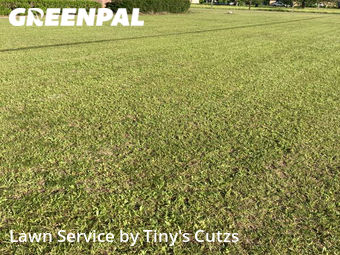 Lawn Care Service nearby Valdosta, GA, 