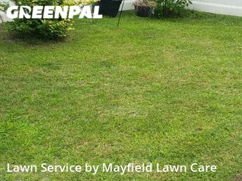 Lawn Maintenance nearby Suffolk, VA, 