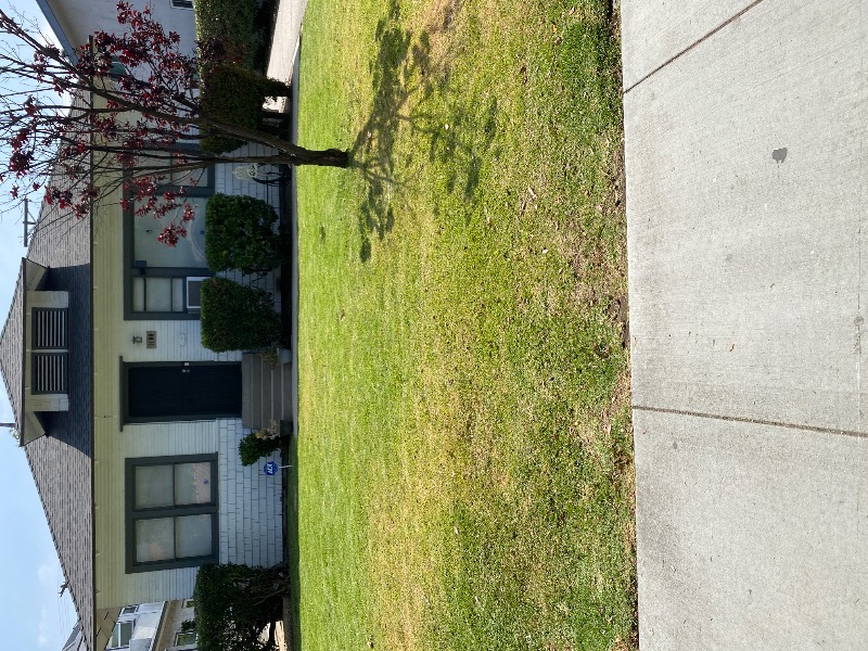 lawn-maintenance-in in Cypress, CA
