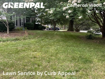 Grass Cutin Charlotte,28210,Lawn Care Service by Curb Appeal, work completed in Jun , 2026
