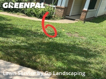 Lawn Cut nearby Huntersville, NC, 