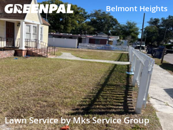 Lawn Carein Tampa,33610,Lawn Mowing by Mks Service Group, work completed in Nov , 2025