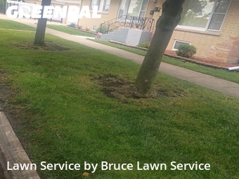 Yard Mowing nearby Norridge, IL, 