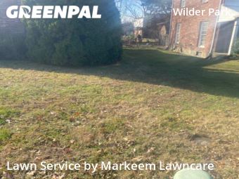 Grass Cut nearby Louisville, KY, 