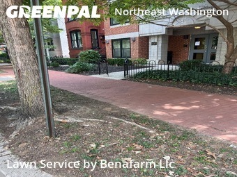 Lawn Cutting nearby Washington, MD, 
