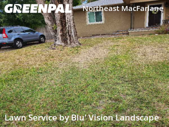 Landscaping Installation Tampa,33607,Landscaping Cleanup by Blu' Vision Landscape, work completed in Dec , 2025