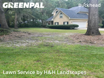 Grass Care in Richmond Hill, 31324, Yard Care by H&H Landscapes, work completed in Nov , 2025