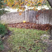 lawn-care-services-in-Pflugerville-TX