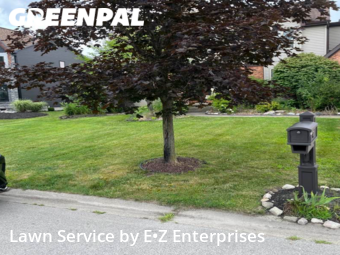 Lawn Mow nearby Getzville, NY, 