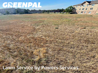 Yard Care in Broomfield, 80020, Weed Trimming by Powers Services, work completed in Nov , 2025