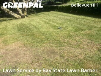 Lawn mowed in Boston, 2132
