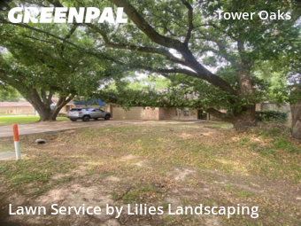Lawn Mowing Service nearby Houston, TX, 
