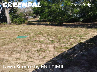 Lawn Mowing Service nearby Holiday, FL, 