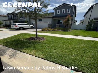 Lawn Cutting nearby Tampa, FL, 