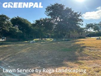 Grass Cut nearby New Braunfels, TX, 