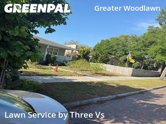 Grass Cutting nearby Saint Petersburg, FL, 