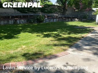 Grass Cutting nearby Albuquerque, NM, 