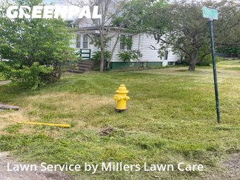 Lawn Service nearby Beaver Falls, PA, 