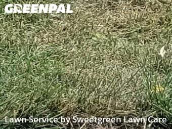 Lawn Service nearby Pittsburgh, PA, 