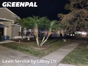 Lawn Cutting nearby Orlando, FL, 