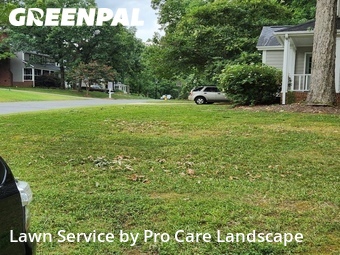Grass Cutting nearby Matthews, NC, 