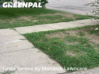 Grass Cut nearby Indianapolis, IN, 