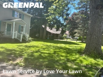 Landscape Design In Buffalo,14221,Landscaping Renovation by Love Your Lawn, work completed in Jun , 2026