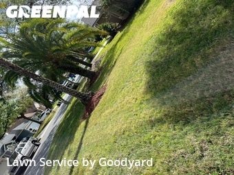 Yard Cutting nearby Jacksonville, FL, 