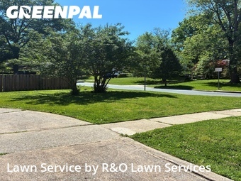Yard Cutting nearby Potomac, MD, 