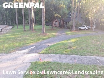 Lawn Cut nearby Gainesville, FL, 