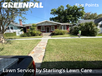 Grass Cut nearby Jacksonville, FL, 