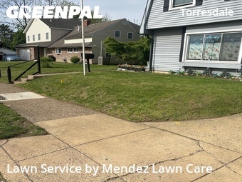 Yard Cutting nearby Philadelphia, PA, 