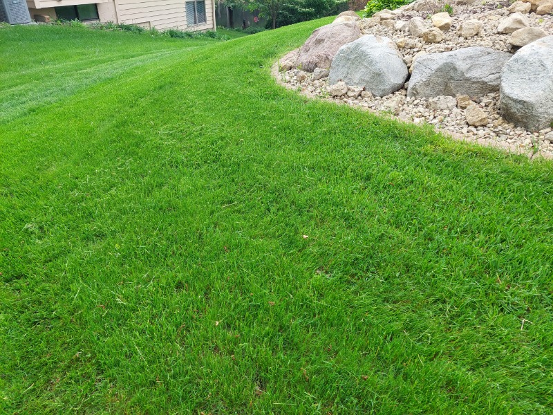 Procare Lawns Lawn Care Services in Inver Grove Heights, MN
