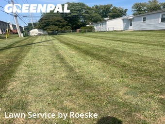 Lawn Cut nearby Bloomington, IL, 