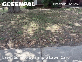 Lawn Cut nearby San Antonio, TX, 