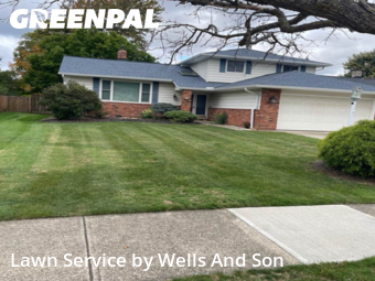 Yard Grooming in Mayfield Heights, 44124, Lawn Maintenance by Wells And Son, work completed in Nov , 2025