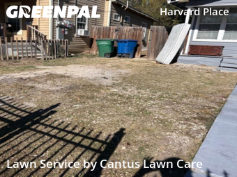 Landscaper In San Antonio,78202,Landscape Design by Cantus Lawn Care, work completed in Dec , 2025