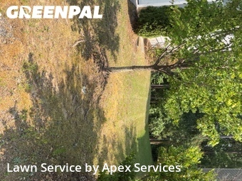 Lawn mowed in Cary, 27519