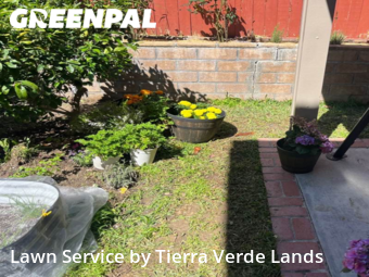 Grass Cut nearby Whittier, CA, 