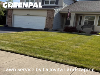 Lawn Management in Lockport, 60441, Yard Maintenance by La Joyita Landscaping, work completed in Nov , 2025