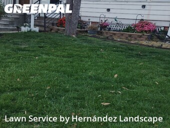 Grass Cut nearby Ridley Park, PA, 