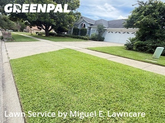 Grass Cutting nearby Orlando, FL, 