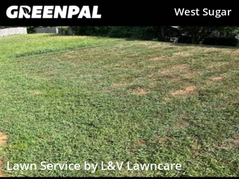 Lawn Maintenance nearby Charlotte, NC, 