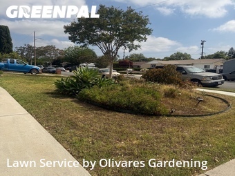 Work completed by grass-cutting-businesses-in in Simi Valley, CA