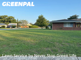 Lawn Mowing Service nearby Orlando, FL, 