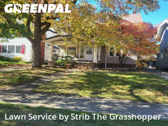 Yard Mowing nearby Lakewood, OH, 